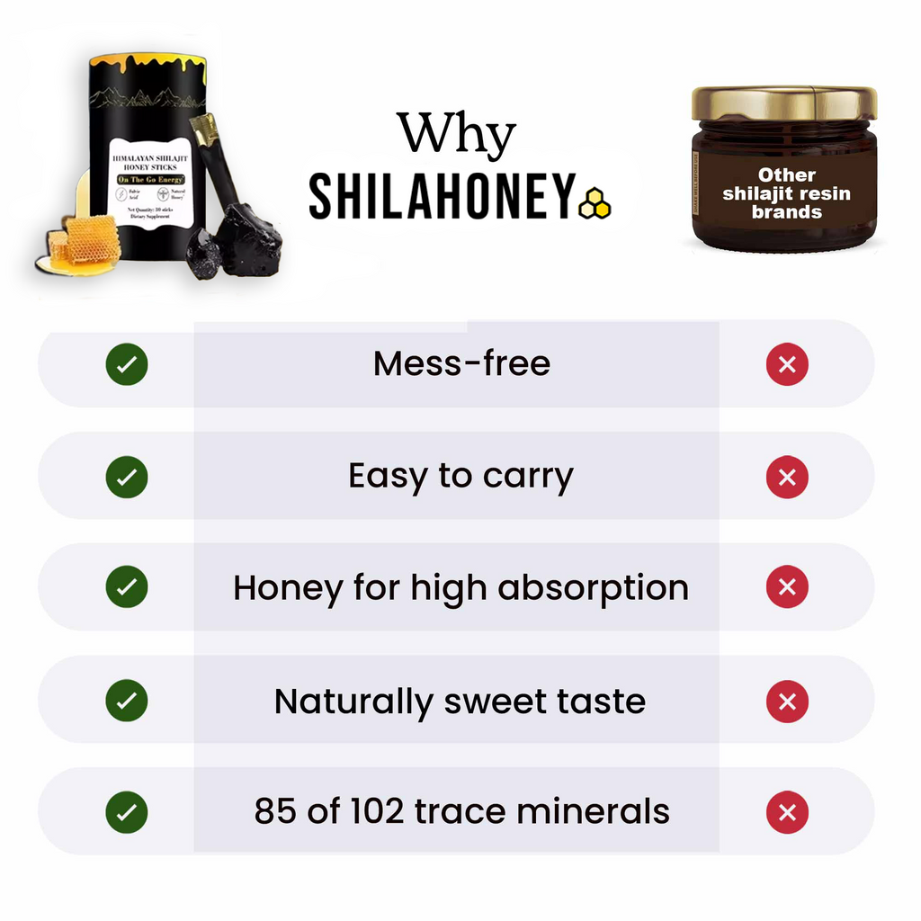GOLD+ Shilajit Honey Sticks